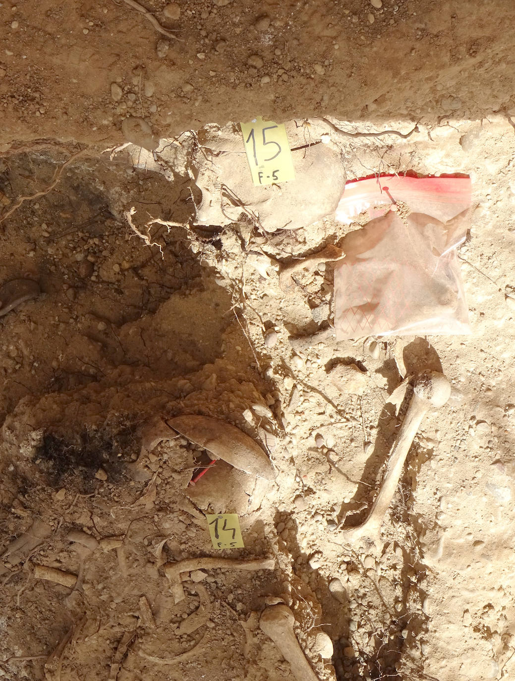 Exhumaciones en las fosas comunes de represaliados en la Guerra Civil en Valladolid