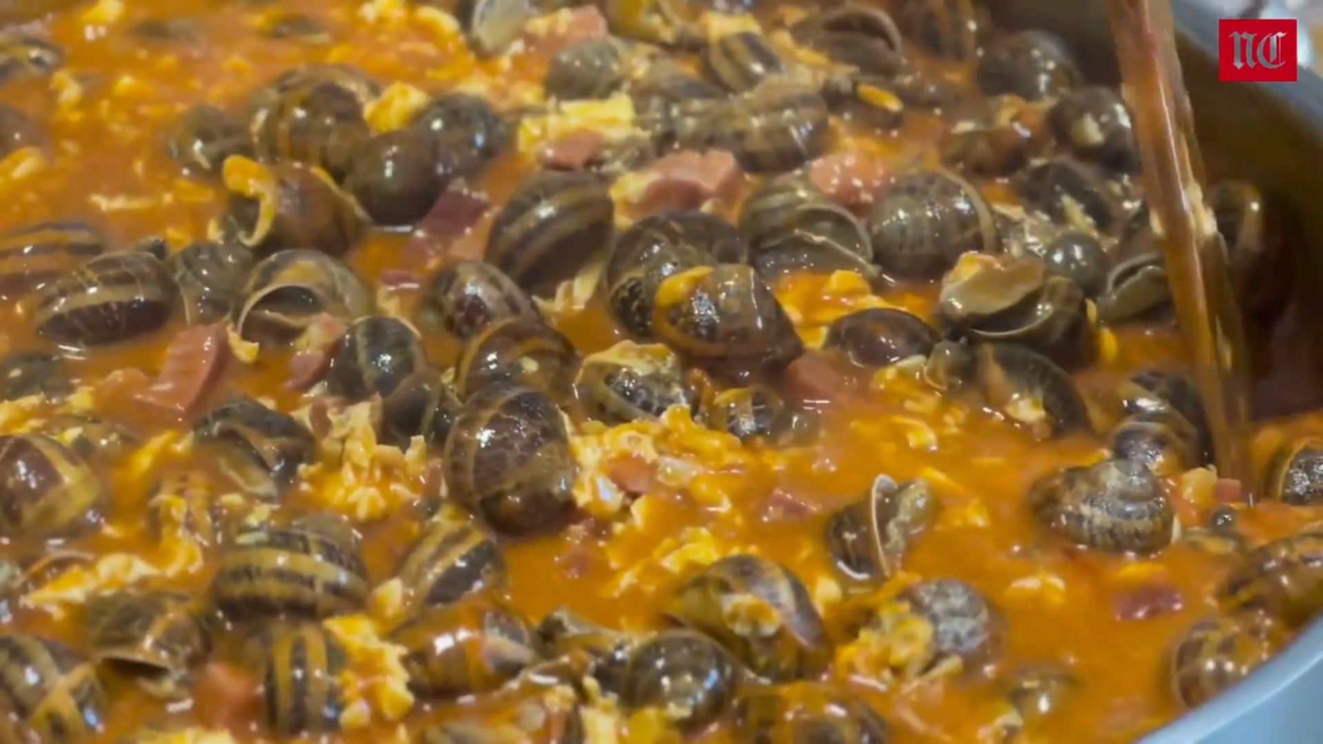 Comer y beber en Valladolid: los mejores caracoles