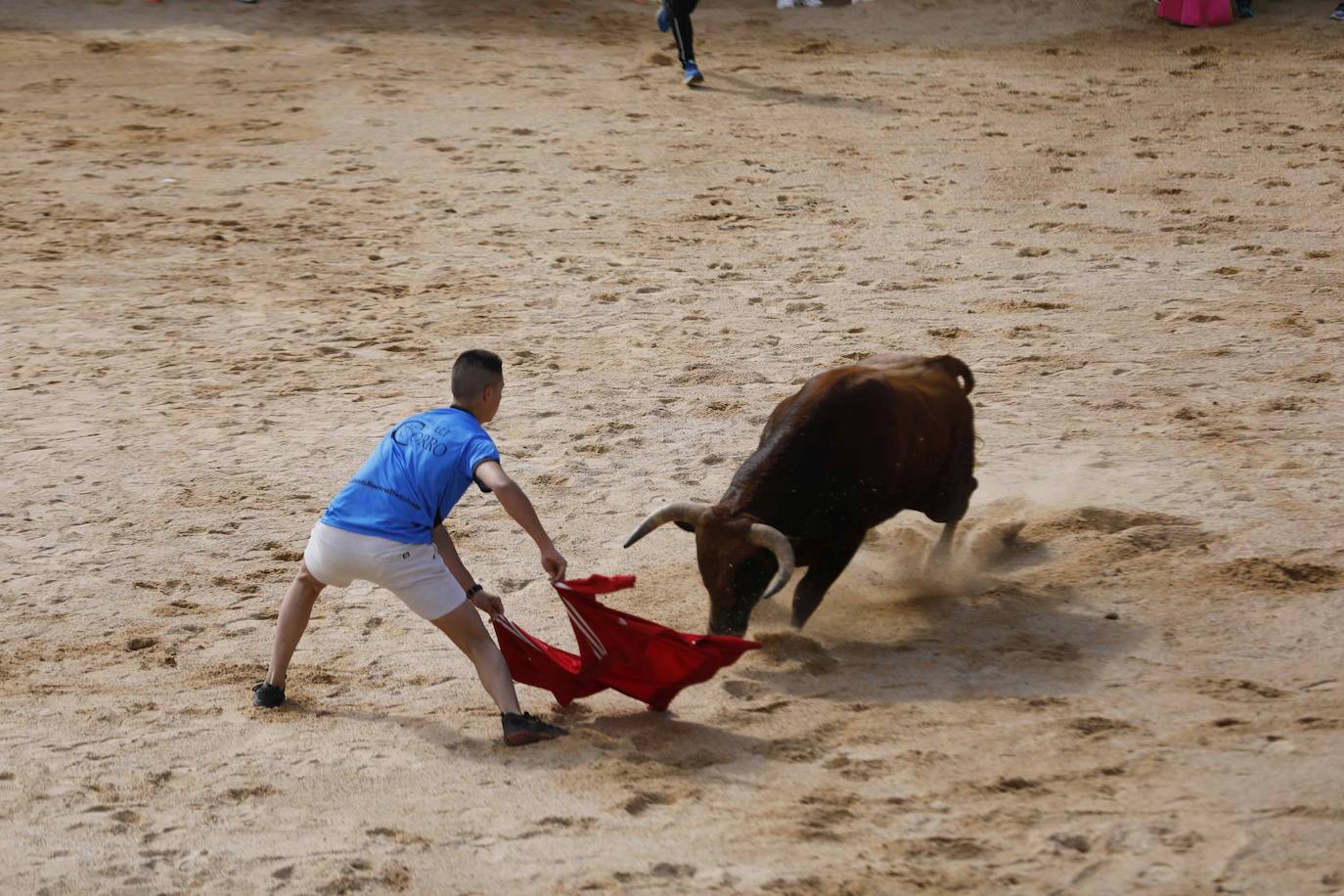 Peñafiel estrena sus Toros de Mayo con un encierro y una capea