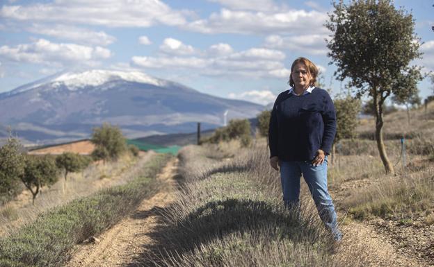 San Felices, la Provenza soriana