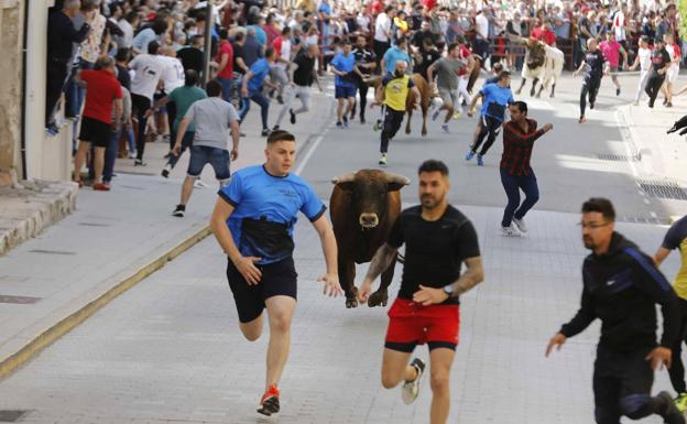 Peñafiel despide un fin de semana «muy positivo» de toros y buen ambiente