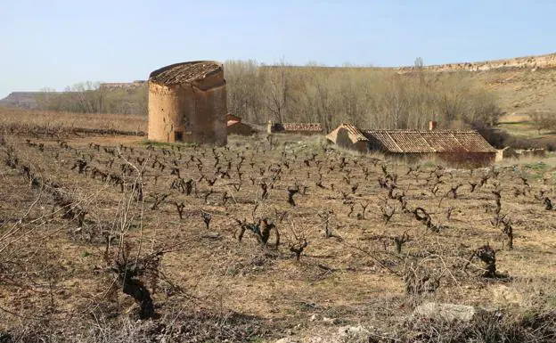 San Esteban de Gormaz se convierte en el epicentro de los vinos de Soria