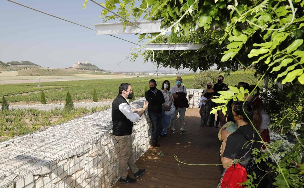 El vino como aglutinador turístico en Castilla y León