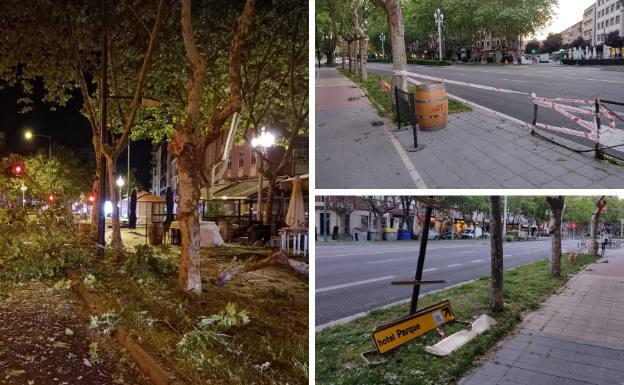 Un camión de limpieza derriba árboles, señales y vallado en el Paseo Zorrilla