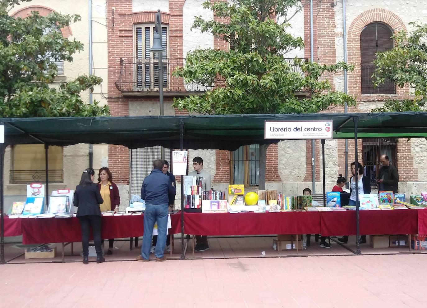 Cuatro librerías de la comarca participan en la VIII Feria del Libro Rural de Pedrajas de San Esteban