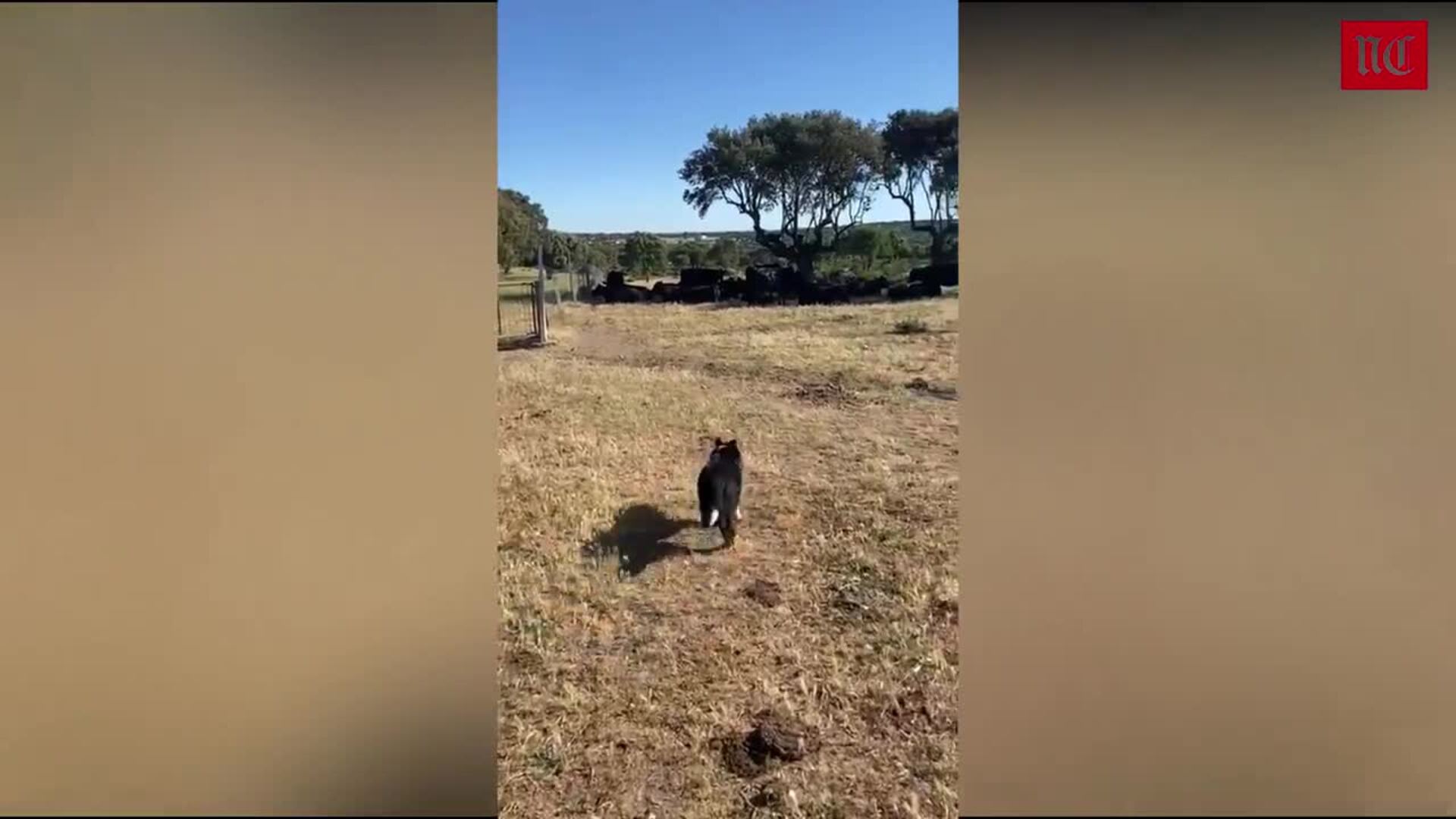 El tiempo esta semana: se repite el patrón de altas temperaturas
