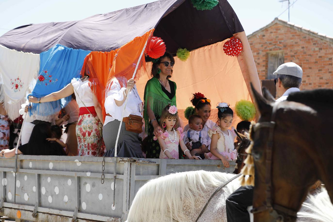 Fiesta del caballo en Langayo, Valladolid (2/2)