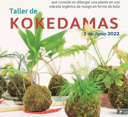 El proyecto LIFE Vía de la Plata acerca a Salamanca la técnica japonesa vegetal de las Kokedamas