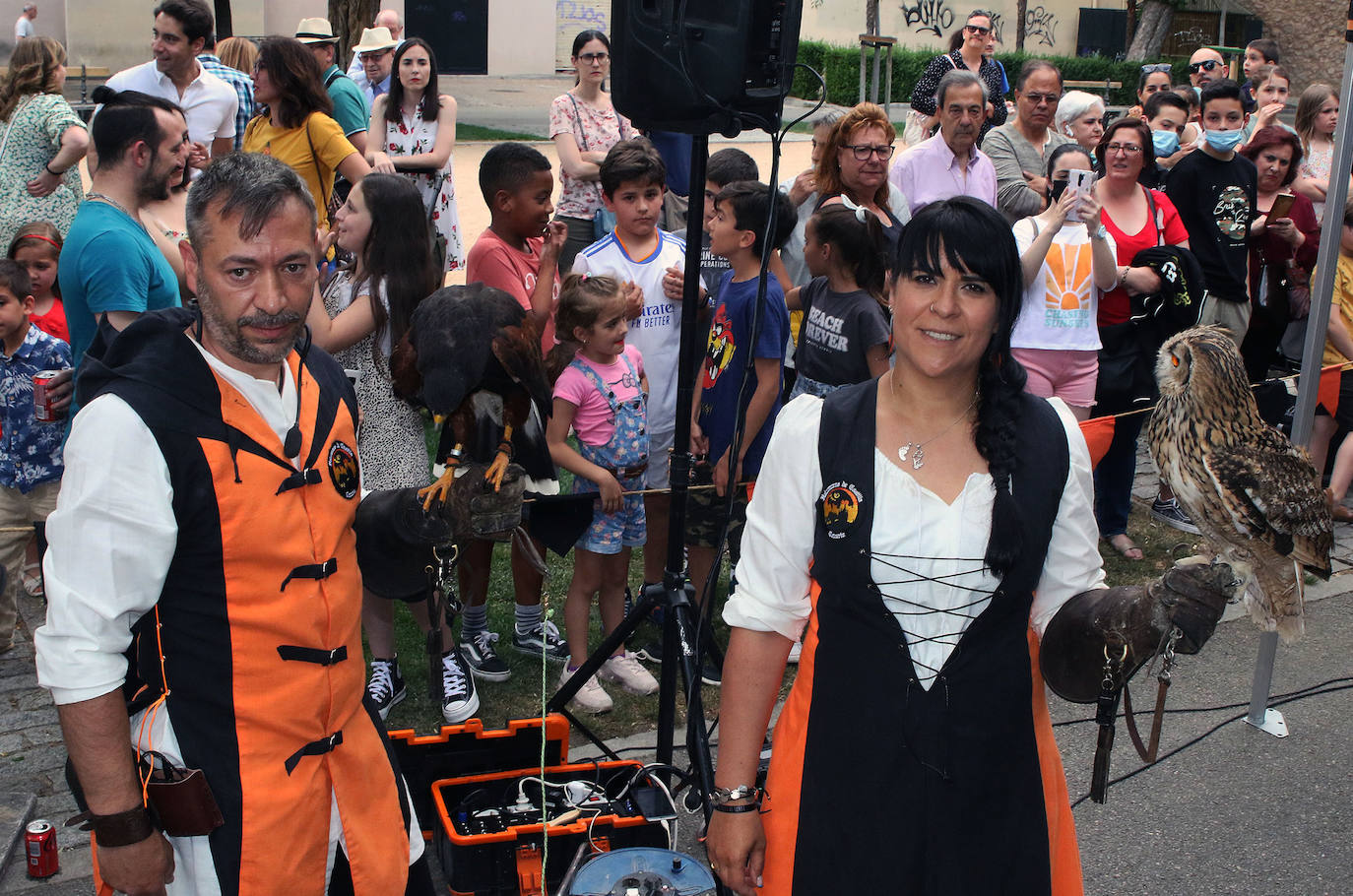 El arte de la cetrería