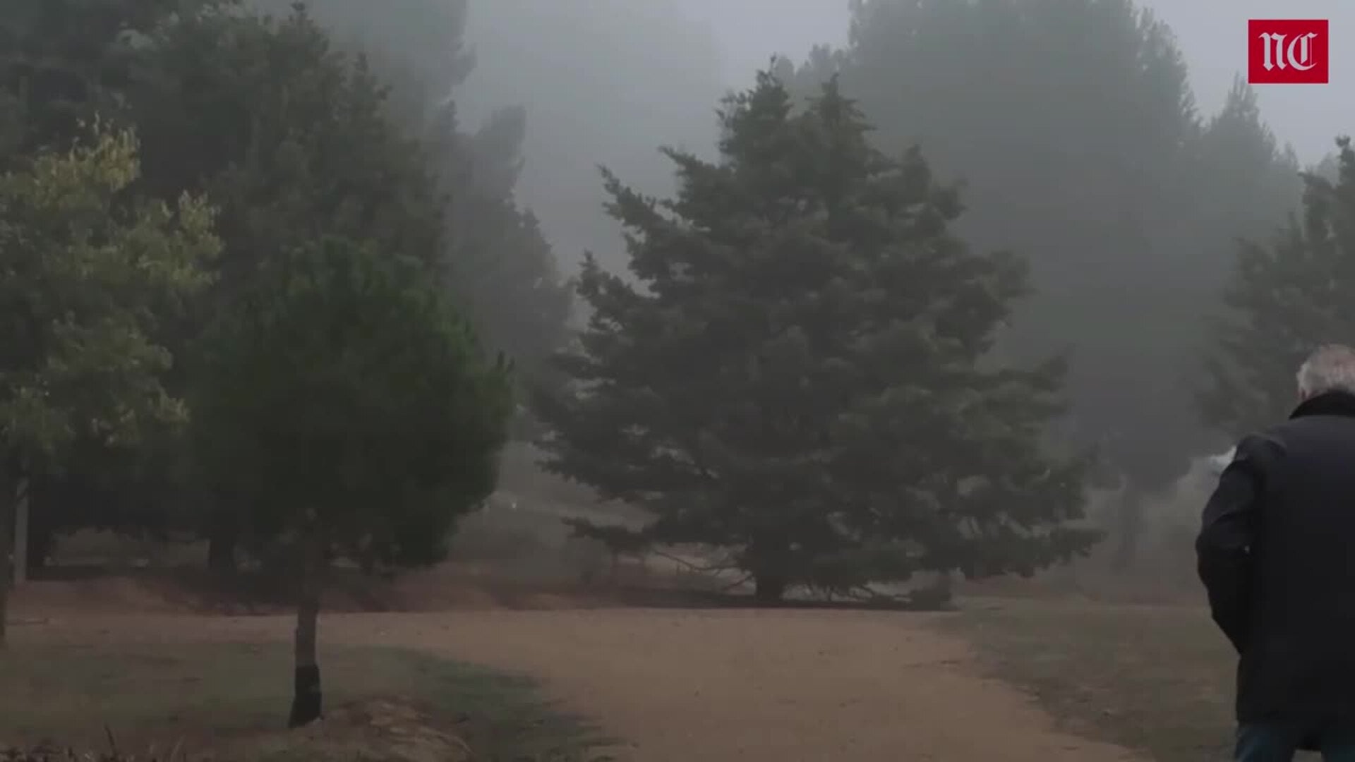 Qué tiempo hará en junio en Castilla y León según Jorge Rey y las cabañuelas