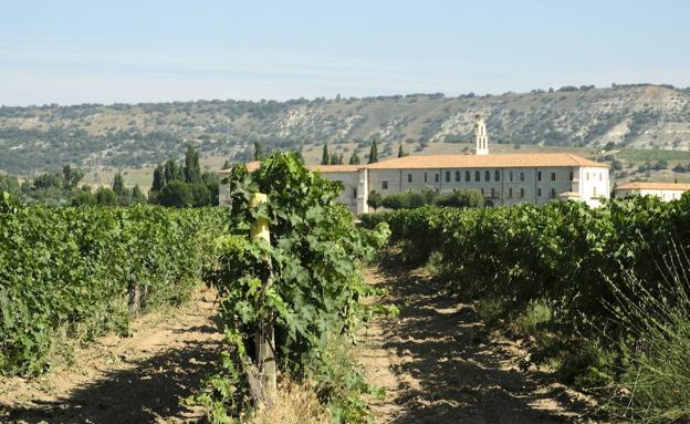 La Comisión Europea aprueba la nueva denominación de origen protegida Abadía de Retuerta