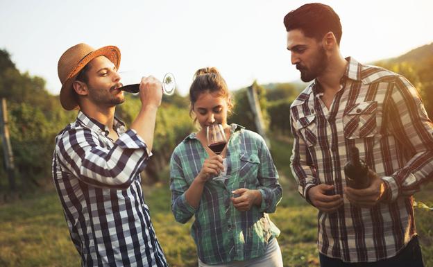 La Ruta del Vino Ribera del Duero, en el proyecto Cleverus