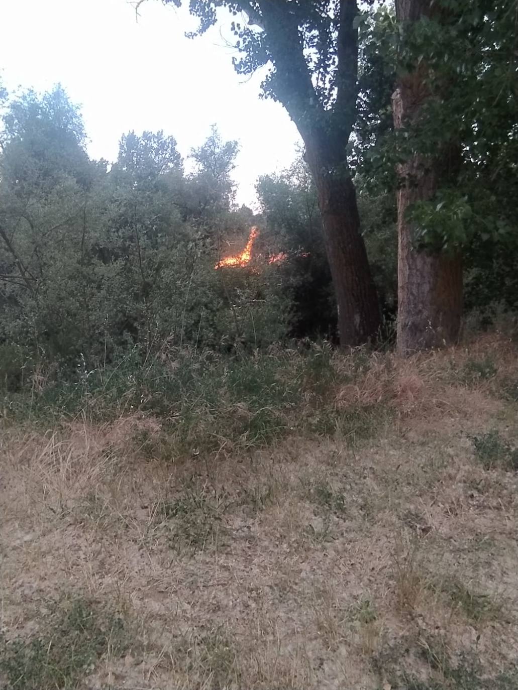 Incendio en las Aceñas de San Miguel del Pino