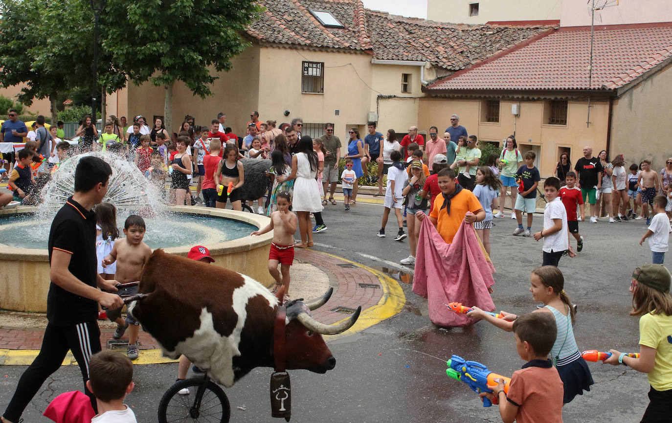 Fiestas en honor a San Antonio en Palazuelos de Eresma
