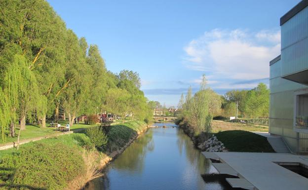 «Los cangrejos americanos eran carroñeros y ahora devoran peces y salen a las huertas a por maíz»