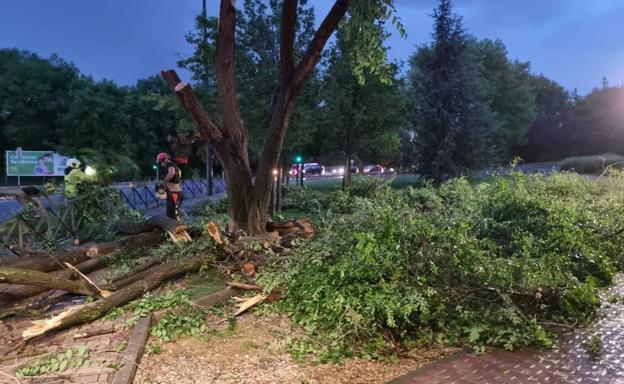 250 efectivos trabajan en los incendios de nivel 2 activos en la Sierra de la Culebra