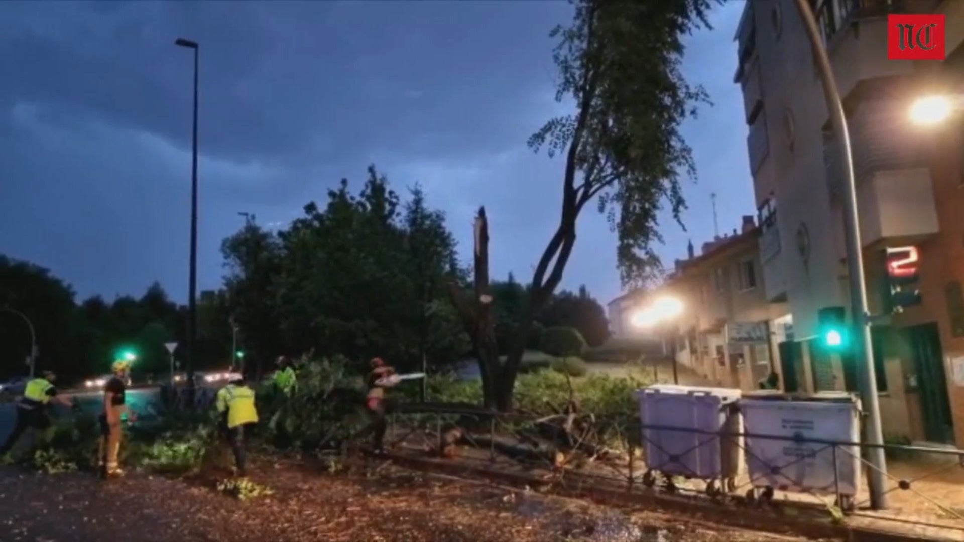 La tormenta tumba varias ramas en Valladolid