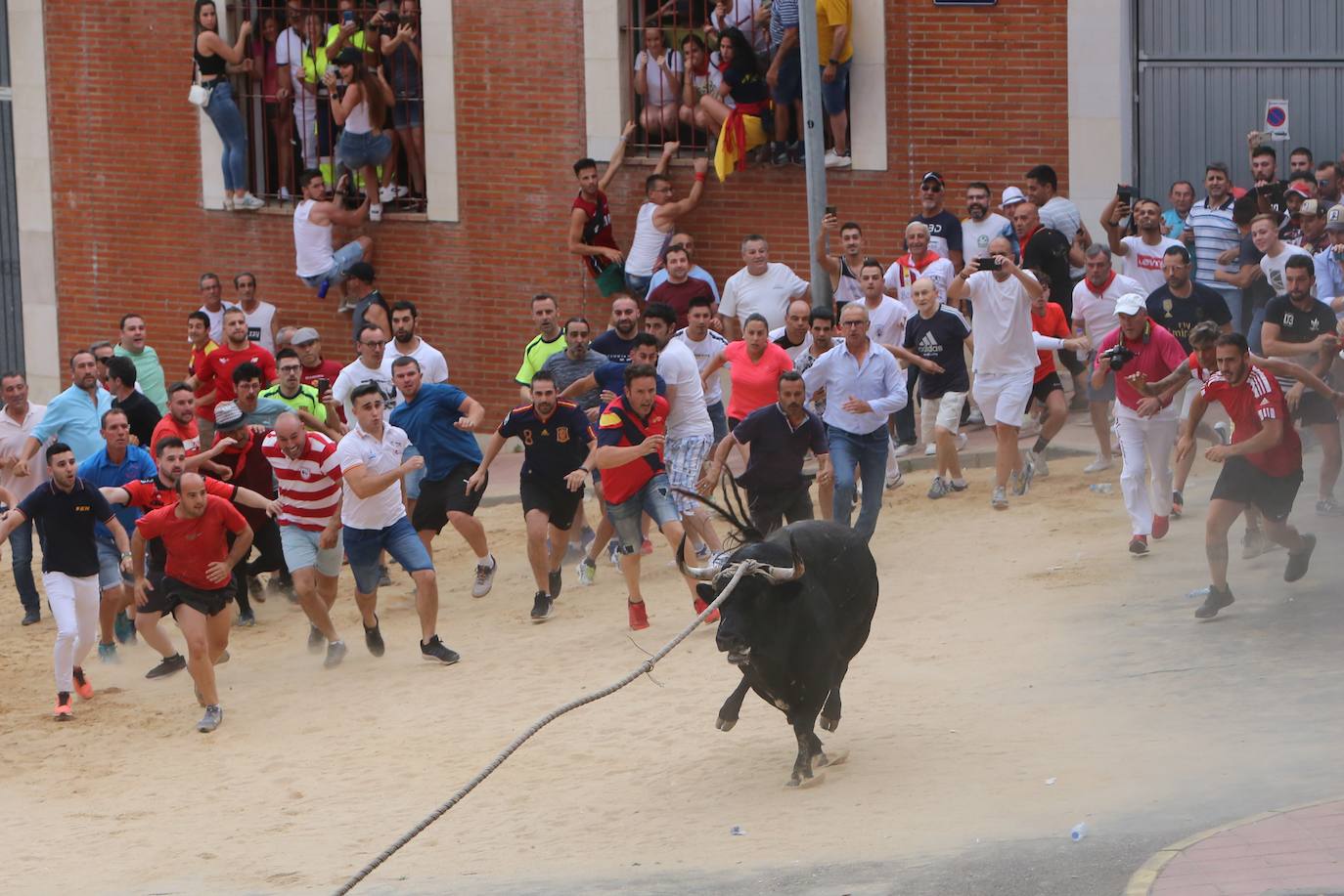 El Toro Enmaromado de 2022 completa en 71 minutos su carrera por las calles de Benavente