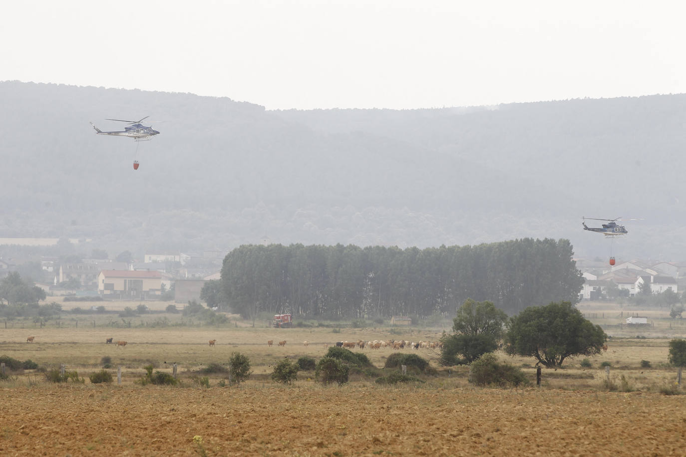 El viento 'traiciona' a Cional y Codesal y lleva las llamas casi a la puerta de las casas
