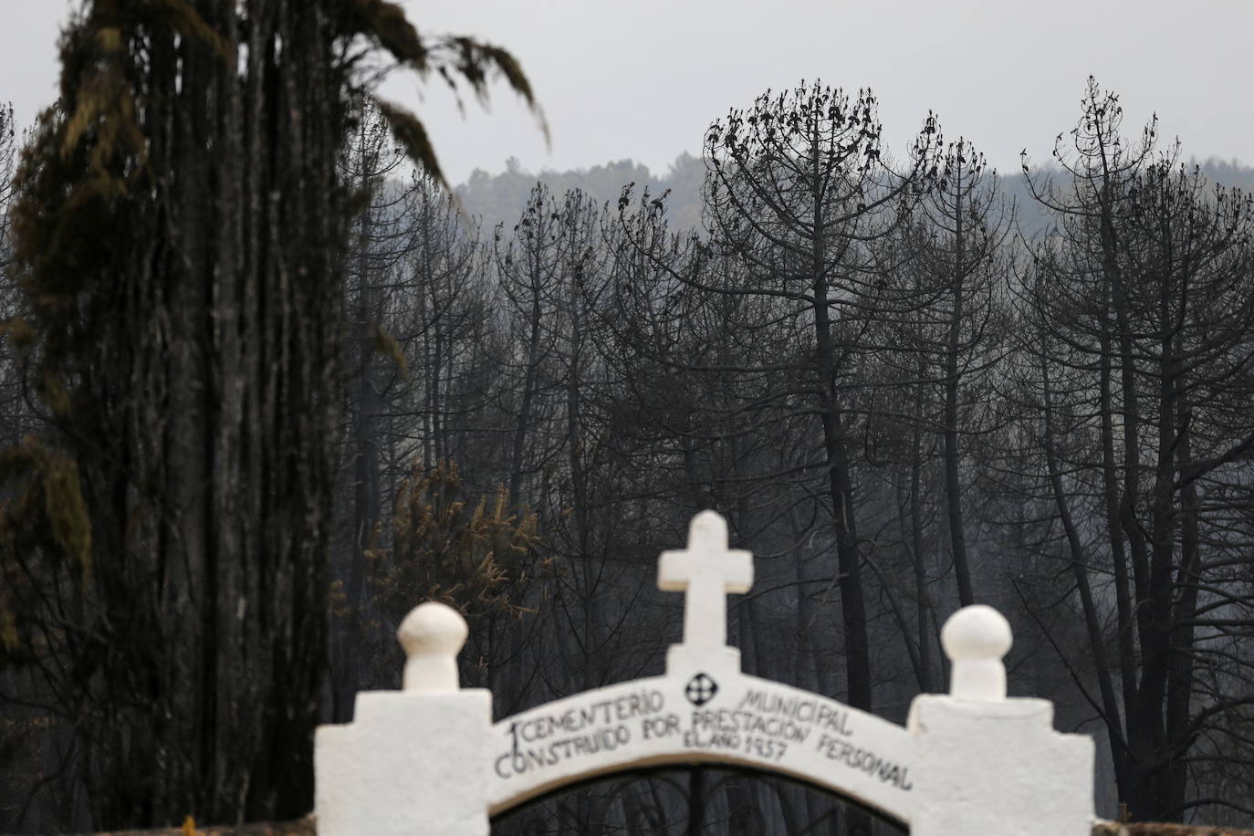 Domingo de evaluación de daños en el incendio de la Sierra de la Culebra (Zamora)
