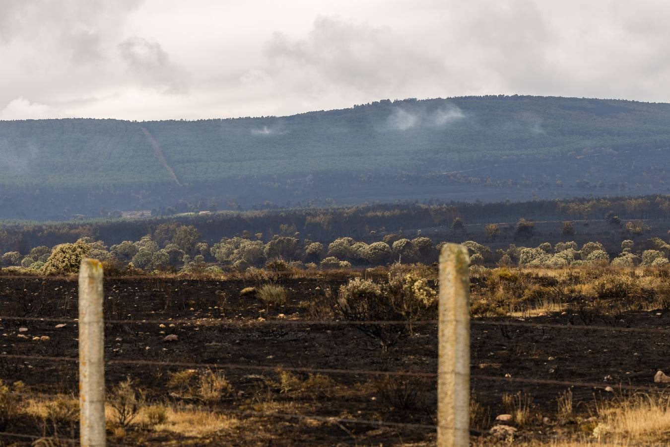 Vecinos de Ferreras de Arriba relatan con tristeza el devastador incendio de la Sierra de la Culebra