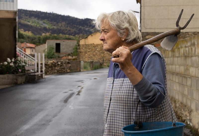 «Se han quemado los castaños centenarios que plantaron nuestros abuelos»