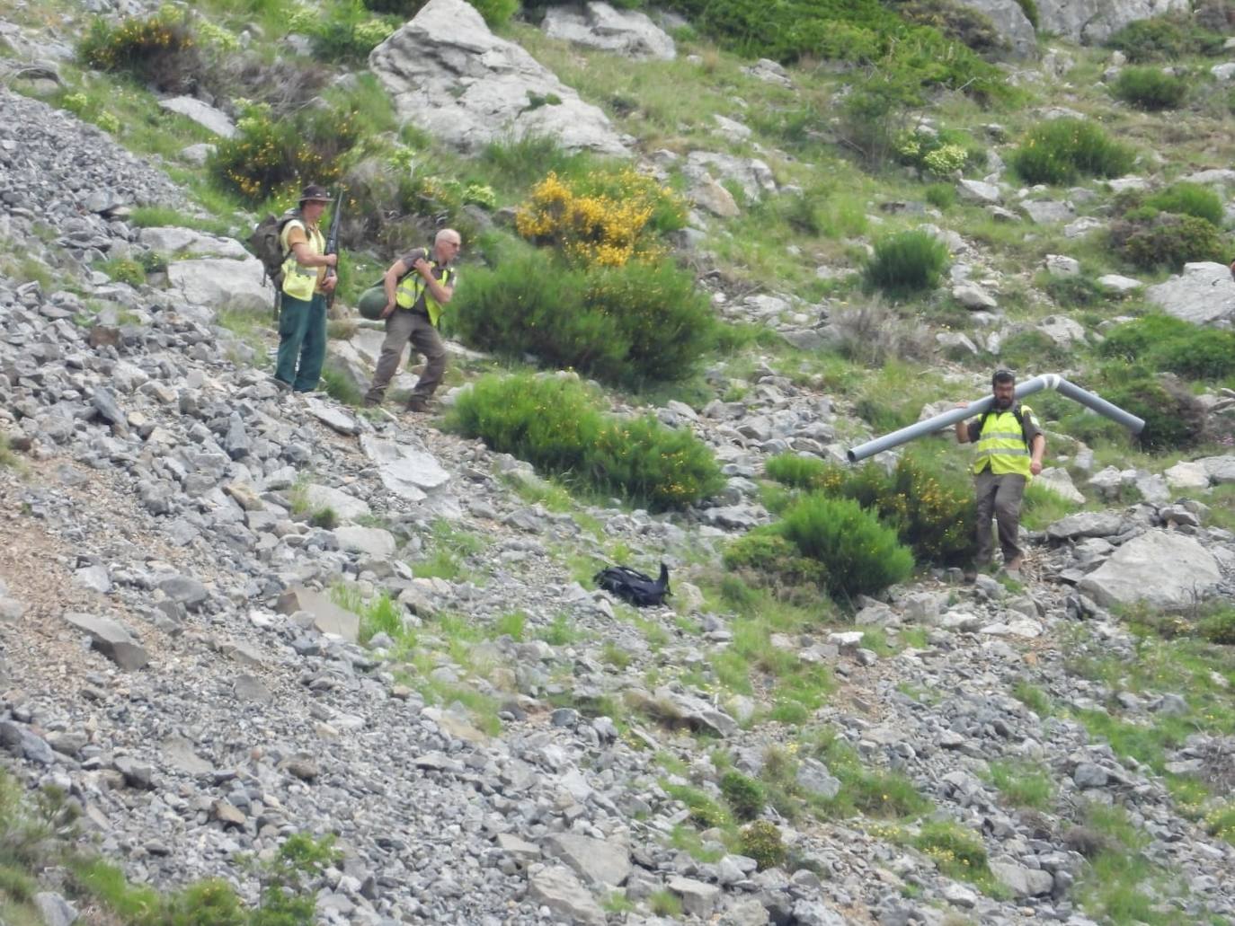 La multitud de galerías y pozos de la cueva dificulta la localización del oso y el osezno