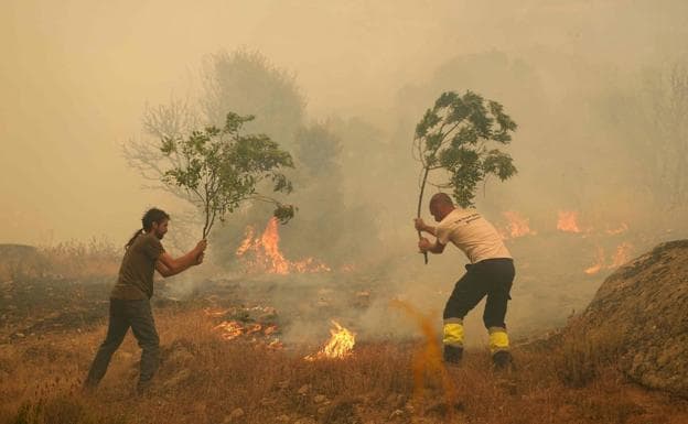 Los pueblos que sufrieron el devastador incendio de Ávila avisan contra «las promesas y ayudas incumplidas»