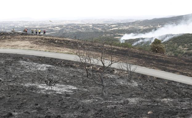 Después del incendio, nada