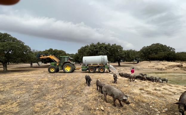 La sequía obliga a los ganaderos a llevar agua con cisternas a sus animales