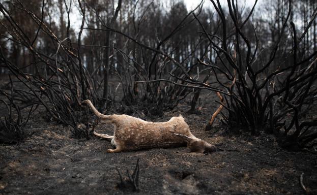 El rural está quemado