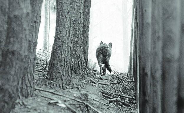 El espíritu de la Sierra de la Culebra