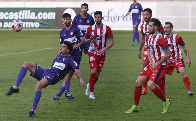 Raúl Arroyo continuará en el Palencia Cristo la próxima temporada