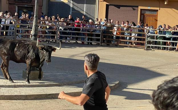 La cuarta Vaca del Cajón reúne a cientos de aficionados en Villalón