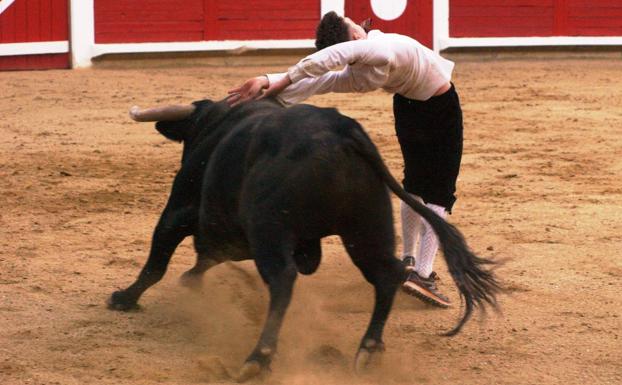Los toros vuelven este sábado al coso de Pedrajas de San Esteban