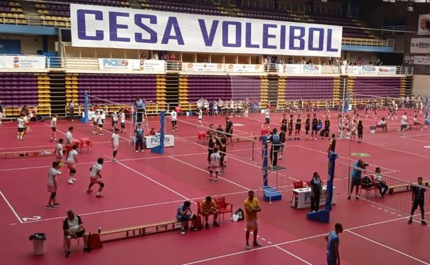 El CESA 2022 coge velocidad en el polideportivo Pisuerga