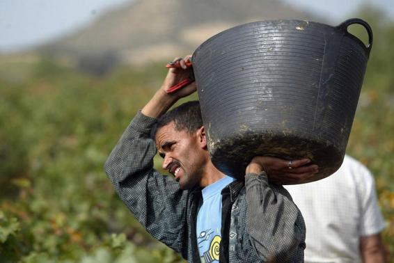 Castilla y León necesita 45.000 trabajadores extranjeros para igualar la tasa media del país
