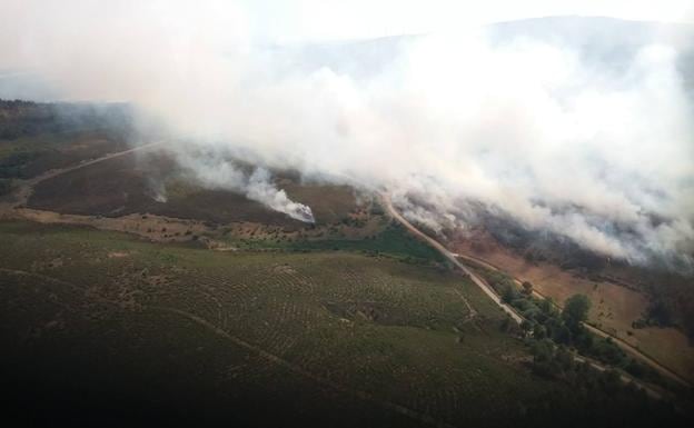 Declaran el nivel 1 en el incendio forestal de Honrubia de la Cuesta