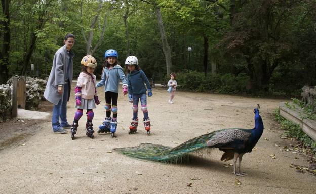 Qué ver en Valladolid con niños