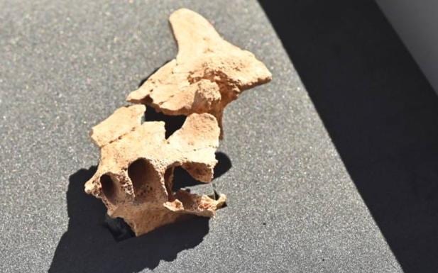 Atapuerca entrega otro de sus tesoros: parte de un rostro humano de 1,4 millones de años