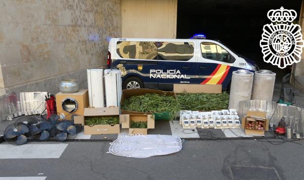 Policía Nacional desmantela una plantación «indoor» de marihuana con 400 plantas en Ciudad Rodrigo