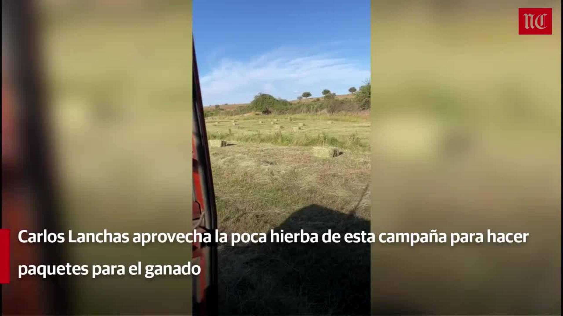 El tiempo de esta semana en Castilla y León, desde el 11 hasta el 17 de julio