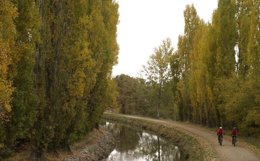 Laguna de Duero: pasión por la naturaleza en tierra de milagros