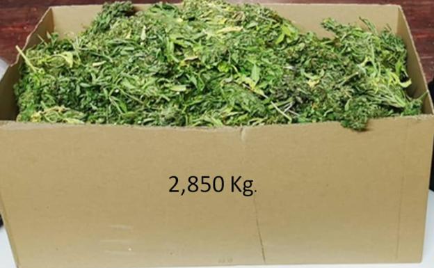 La Policía Local de Palencia interviene 2,8 kilos de marihuana en un vehículo