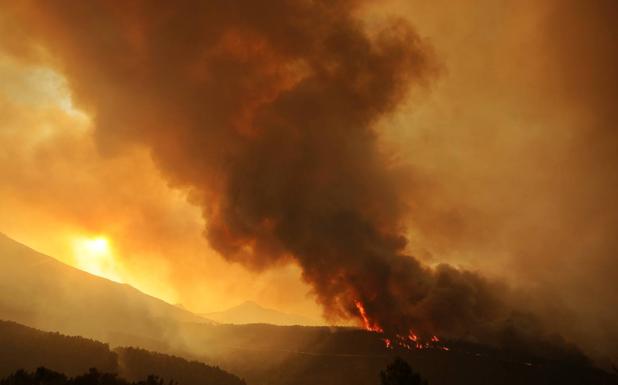 El incendio forestal de Monsagro lleva calcinadas unas 1.000 hectáreas