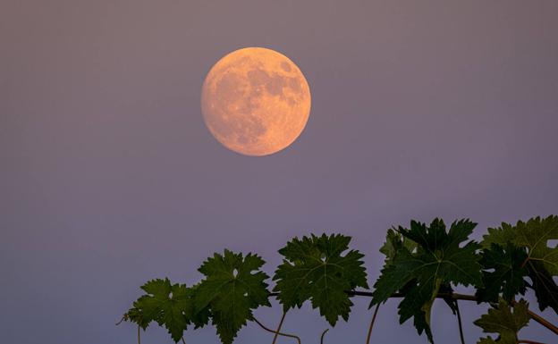 No te pierdas esta noche la Superluna de ciervo, la más grande de 2022