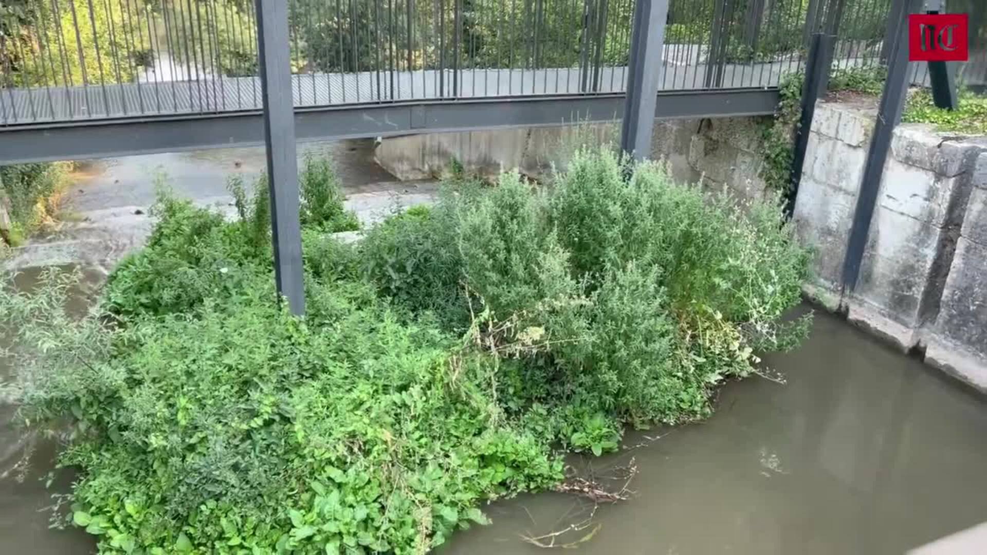 El río Esgueva toca fondo con un caudal ínfimo en Valladolid