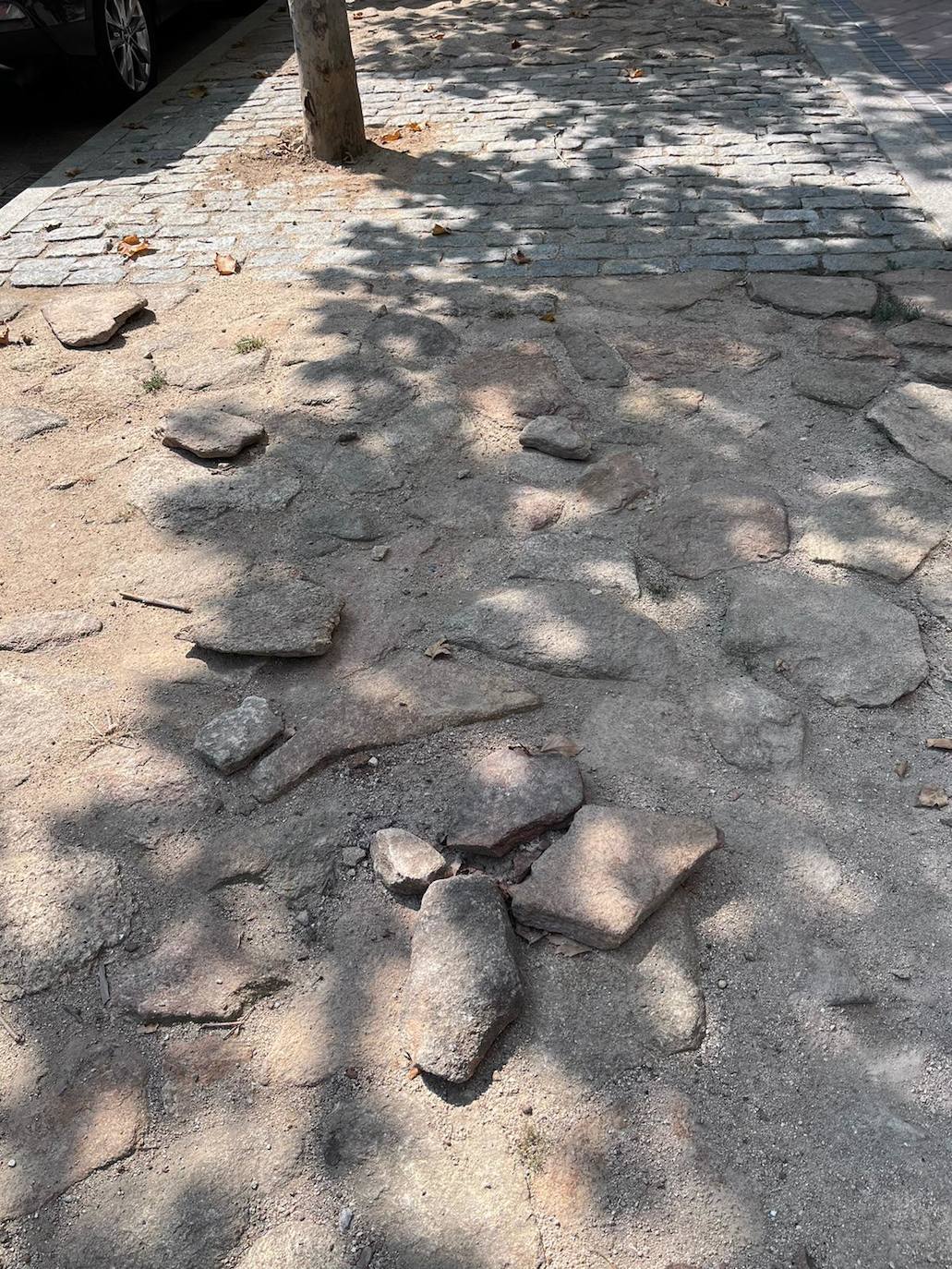 El PP advierte de baldosas sueltas y bancos en mal estado en la avenida de la Constitución