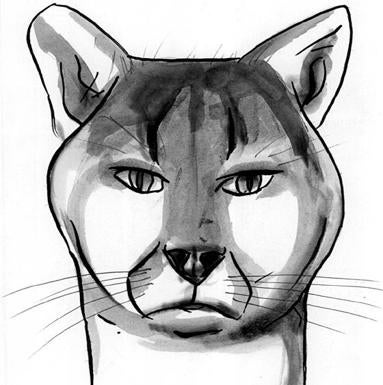 No abandonen a sus mascotas