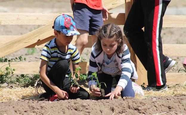 Un huerto infantil para conocer lo que comemos